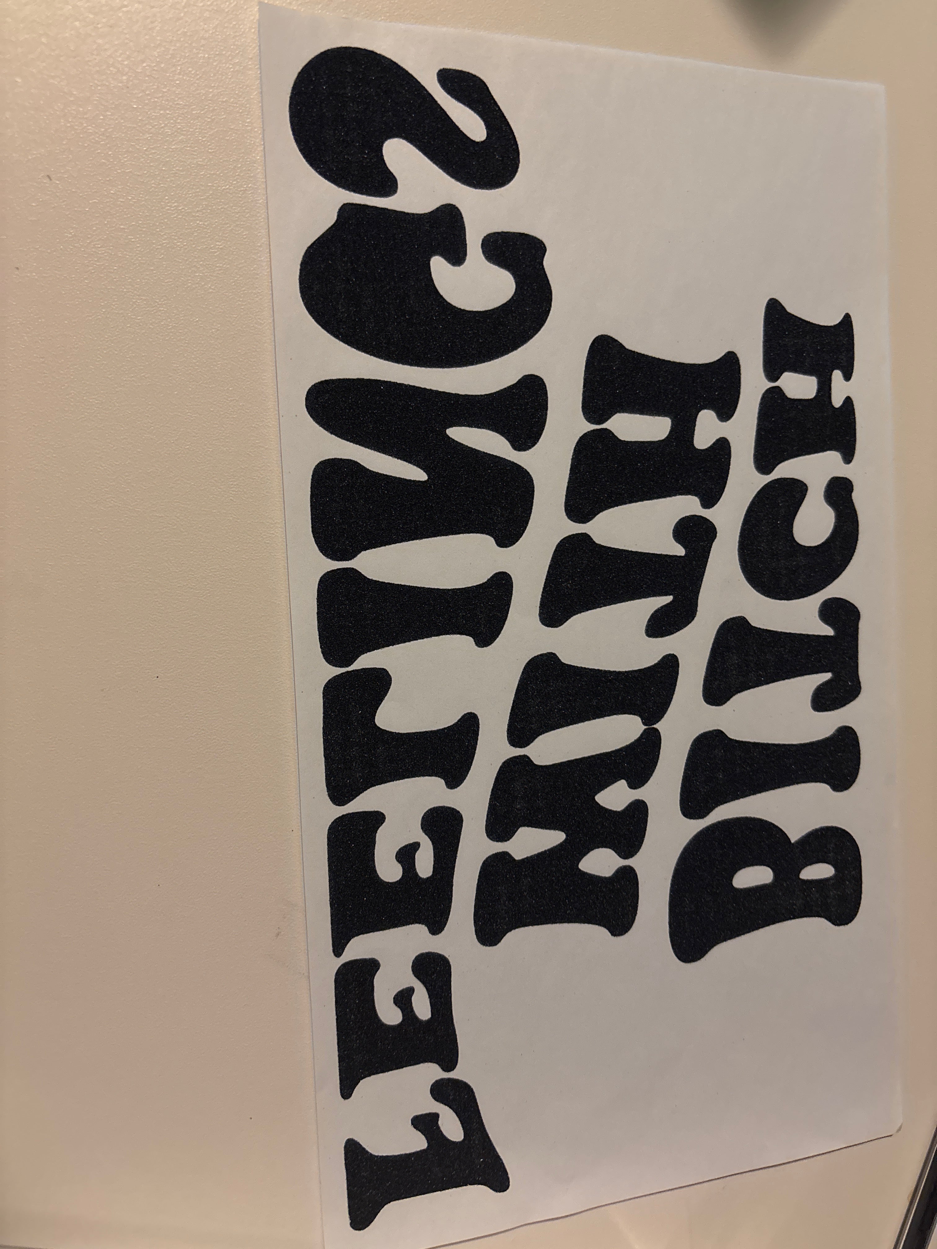 Bitch With Feelings transfer