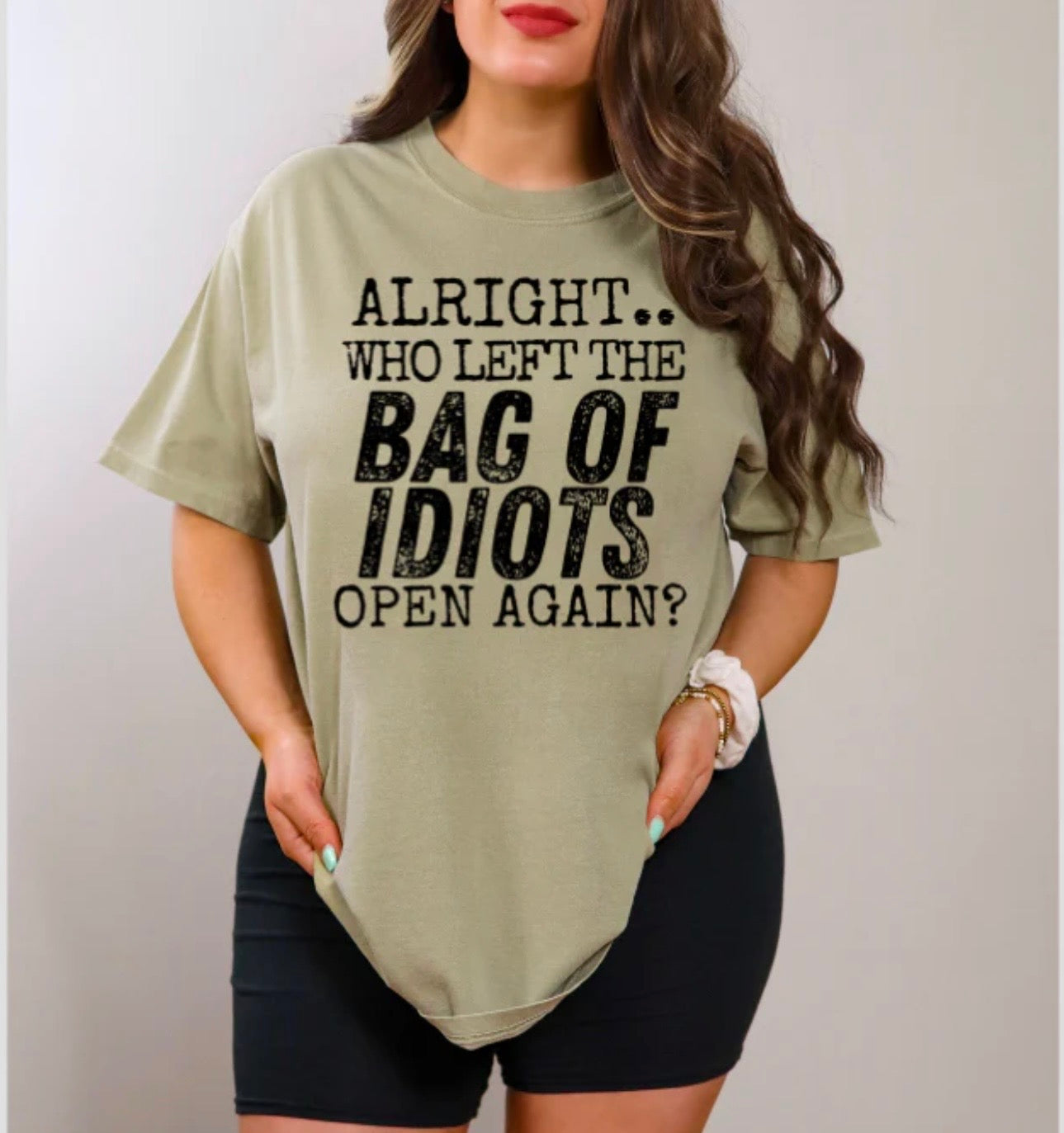 Bag Of Idiots