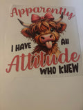 Apparently I have an attitude who knew !